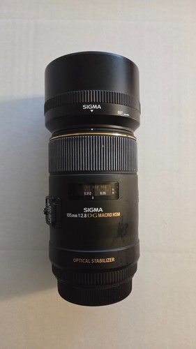 Sigma 105mm dg - f/2.8,
